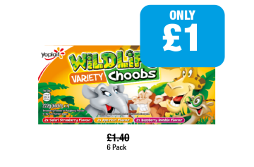 Wildlife Choobs - Now Only £1 at Family Shopper